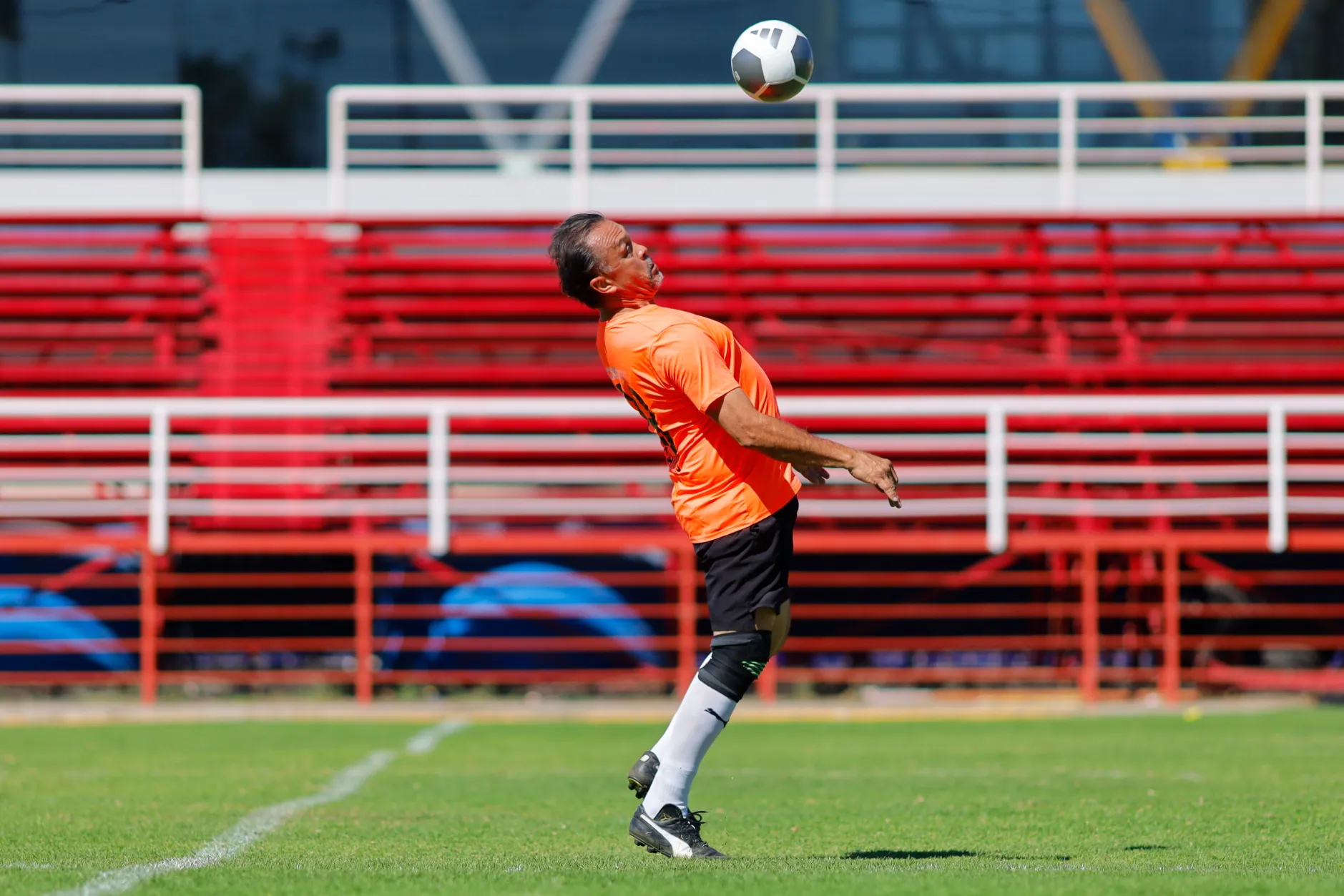 banner-partido